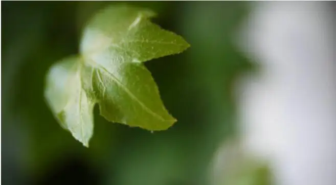 QQ截图20191012160500