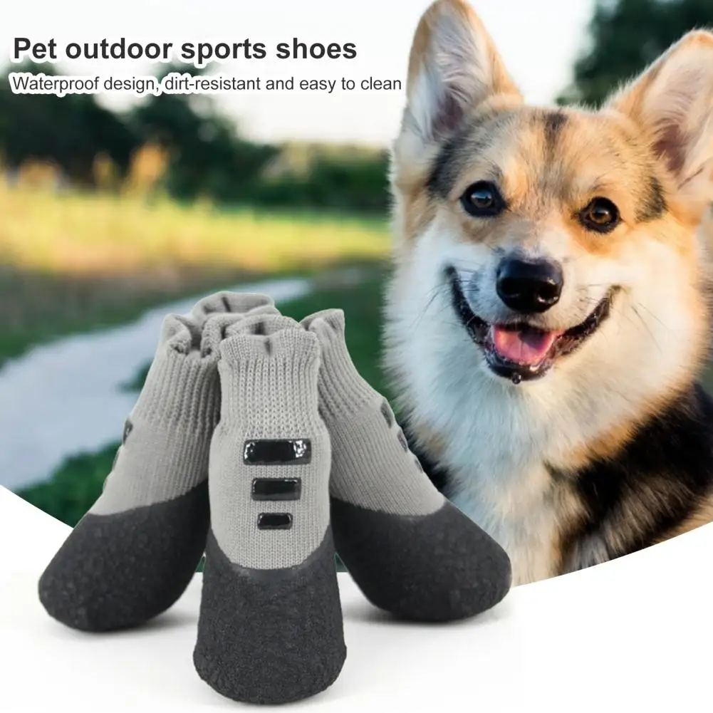 Are Shoes For Dogs Good