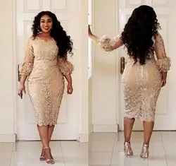 Champagen Plus Size Mother of the Bride Dresses Lace Long Puff Sleeve Short Sheath Tea Length Women Formal Party Evening Gowns
