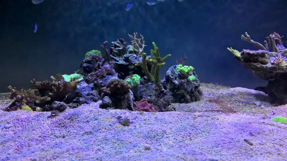 WP_20170415_20_01_51_Pro