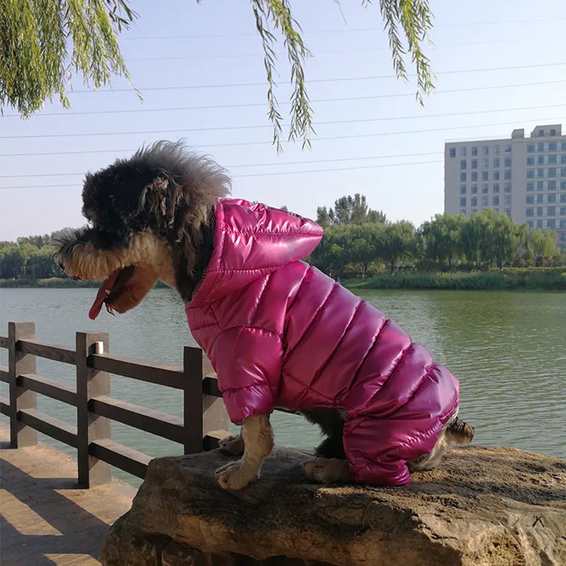 Dog jumpsuit clothes (4)