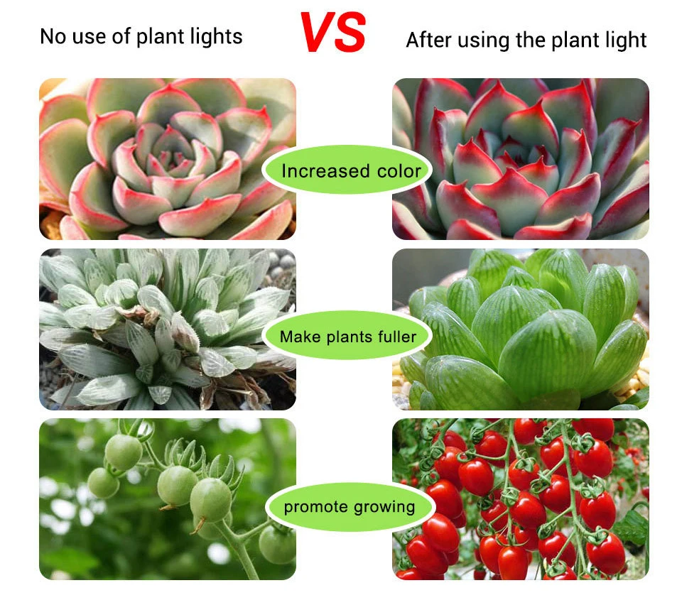 FOXGBF LED growth strip light 2835 chip DC 5V USB LED Strip Light 0.5M 1M 1.5M 2M 2.5M 3M Red light for Greenhouse Grow Tent (8)