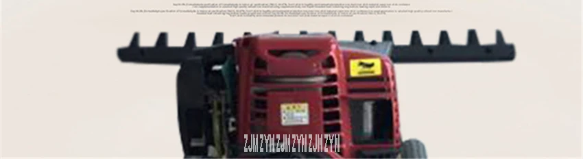 8 (2)