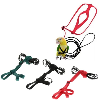 

Bird Parrot Harness & Leash Set Adjustable Training Outdoor Accessories