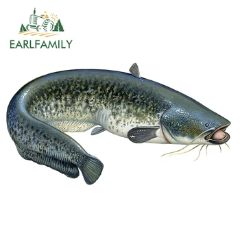 13cm x 7.1cm for Cat Fish Camper Fishing