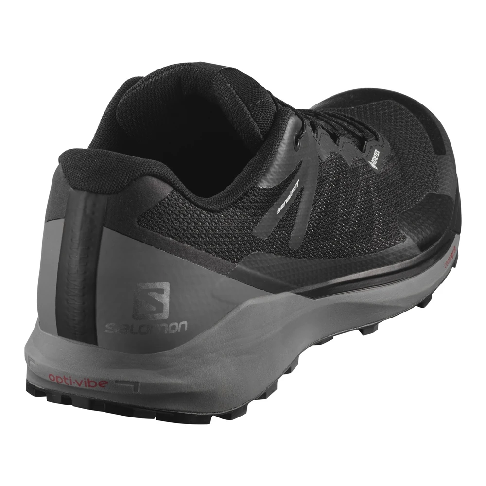 Кроссовки SALOMON SENSE RIDE 3 GTX INVIS. FIT Bk/Qui - купить по выгодной  цене | AliExpress