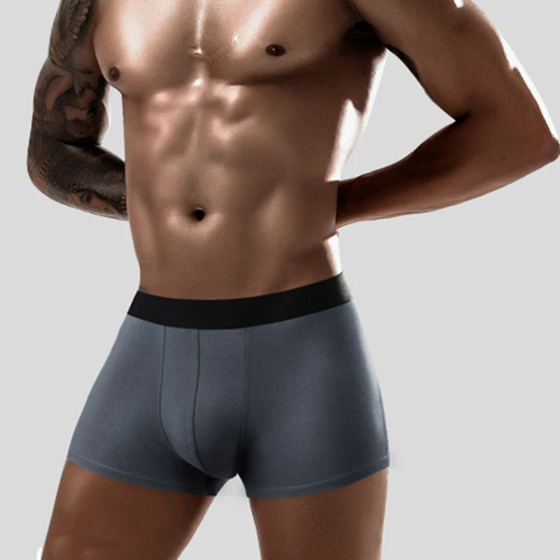 4 Pcs/Lot Men's Underwear High Quality Cotton Soft Comfortable Men Underpants Suitable Weight 55kg To 120kg Wear Boxer Briefs 6