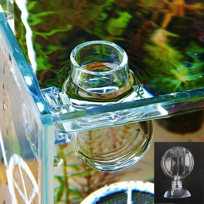 2020 Glass Feeding Food Cup Plant Cup Brine Shrimp Live Red Worm Fish Clear Dish Tray For Aquariums