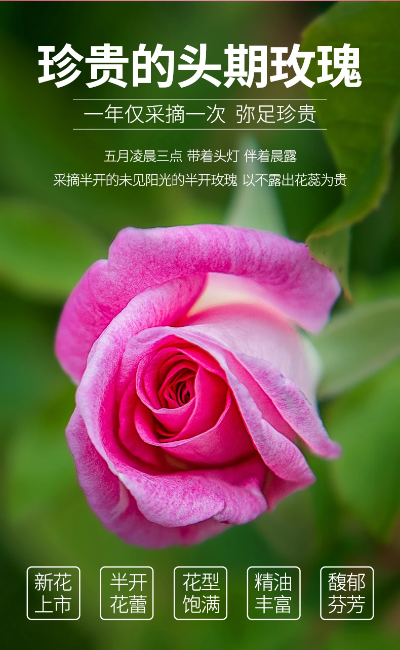 20g Flower Tea Dry Rose Bud Flower Tea Pingyin Rose Double Red Rose Corolla Tea Flower Tea