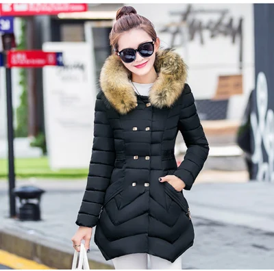 Wholesale Womens Winter Jacket With Big Fur Collar Fashionable Sweet Korean  Girl Puffer Coat With Thicken Faux Fur Womens Parka Winter Coat And Dress  From Jiazhu, $46.74