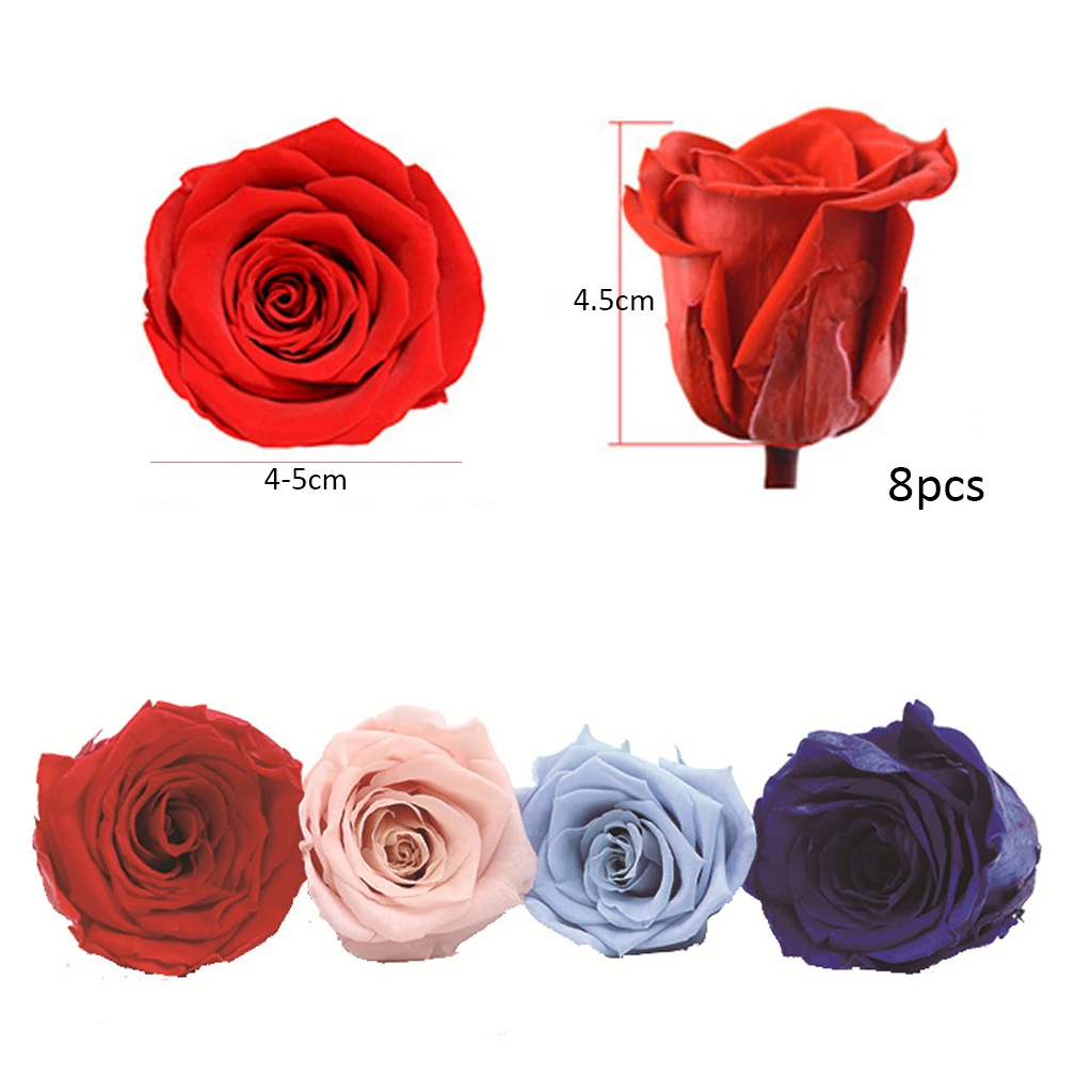 Beste 8 stks doos Eeuwige Bloem Kwaliteit Bewaarde Bloemen Onsterfelijke Rose 5cm Diameter Eeuwige Leven Bloem Blik Bloemen Onsterfelijke Rose