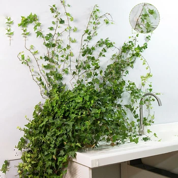 

100Pcs Plant Climbing Wall Clip Invisible Wall New Vines Fixture Wall Sticky Hook Holder Plant Cages & Supports Garden Tool