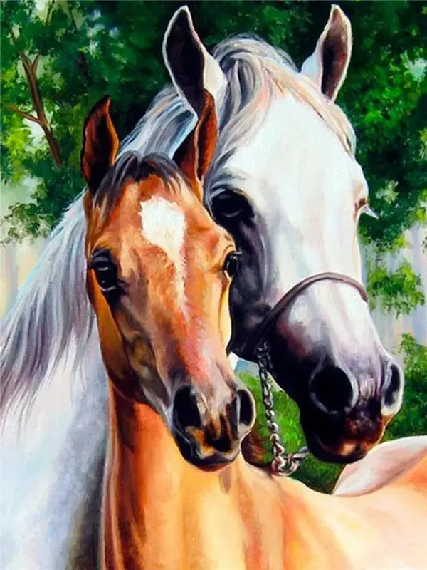 White horse and brown foal in a field painting by numbers White horse and brown foal in a field painting by numbers