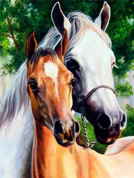 White horse and brown foal in a field painting by numbers