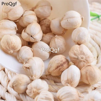 

Ngryise 250Gram A Set Amomum cardamon white dry