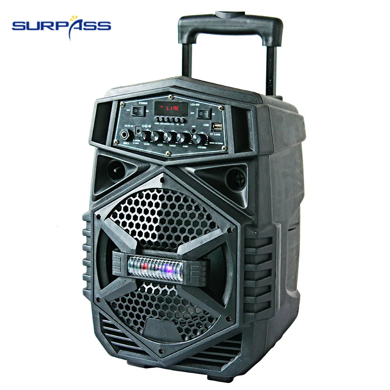12 дюймов умный музыкальный Динамик изготовленный на заказ вечерние караоке DJ
