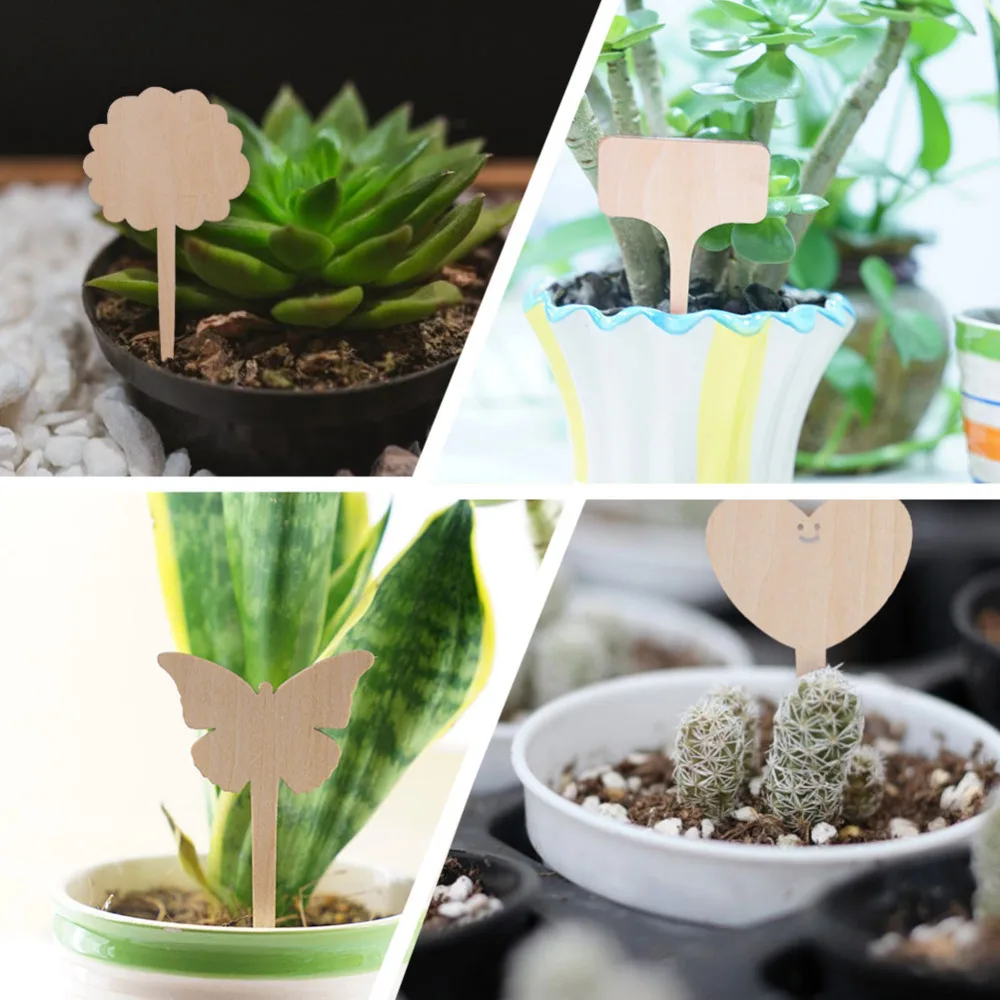 b475eb6cc06ccabaa77691010d1f59f1