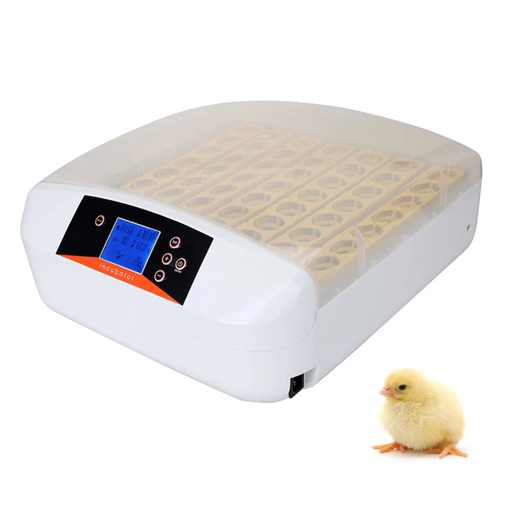 automatic duck feeder for sale