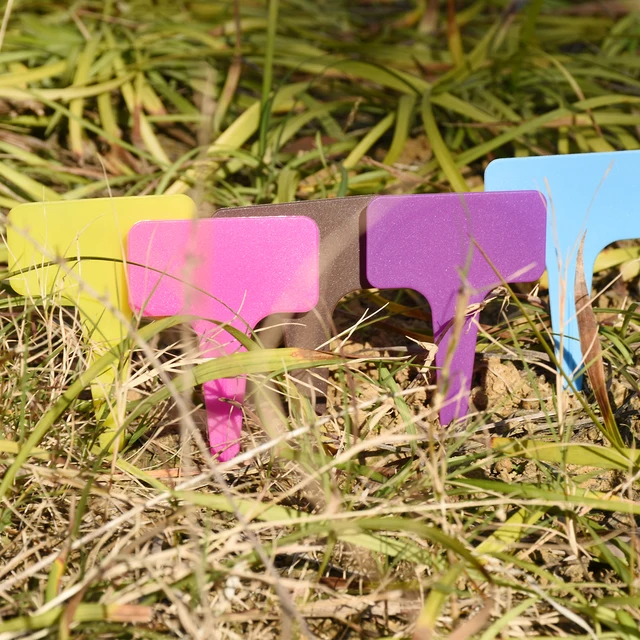 20 db Növényi Markerek Műanyag Vízálló Címkék Tét 59*98 Mm Kert Bonsai Zamatos Vastag Címkézés A Talajfestékre - Image 2