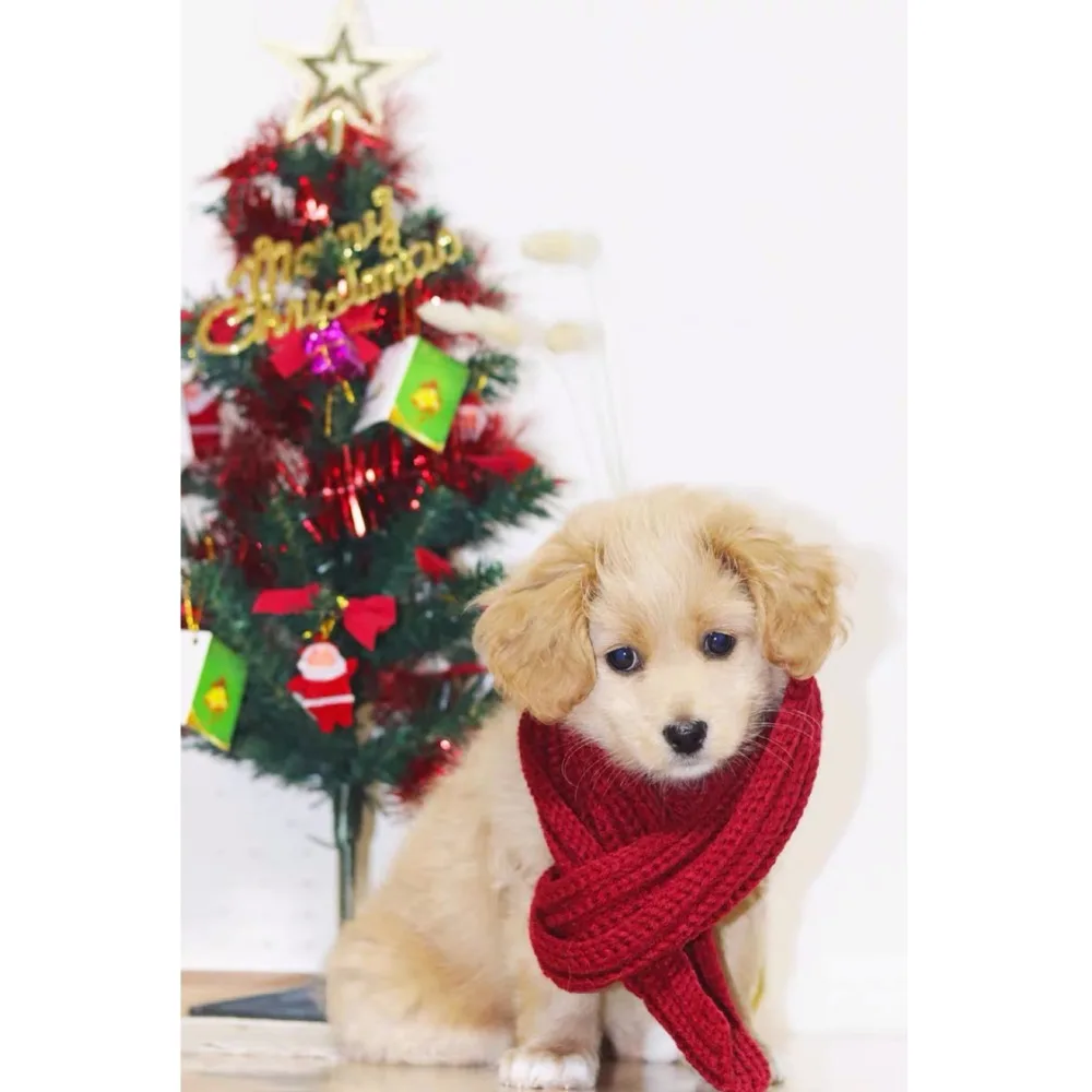 微信图片_20200111194652