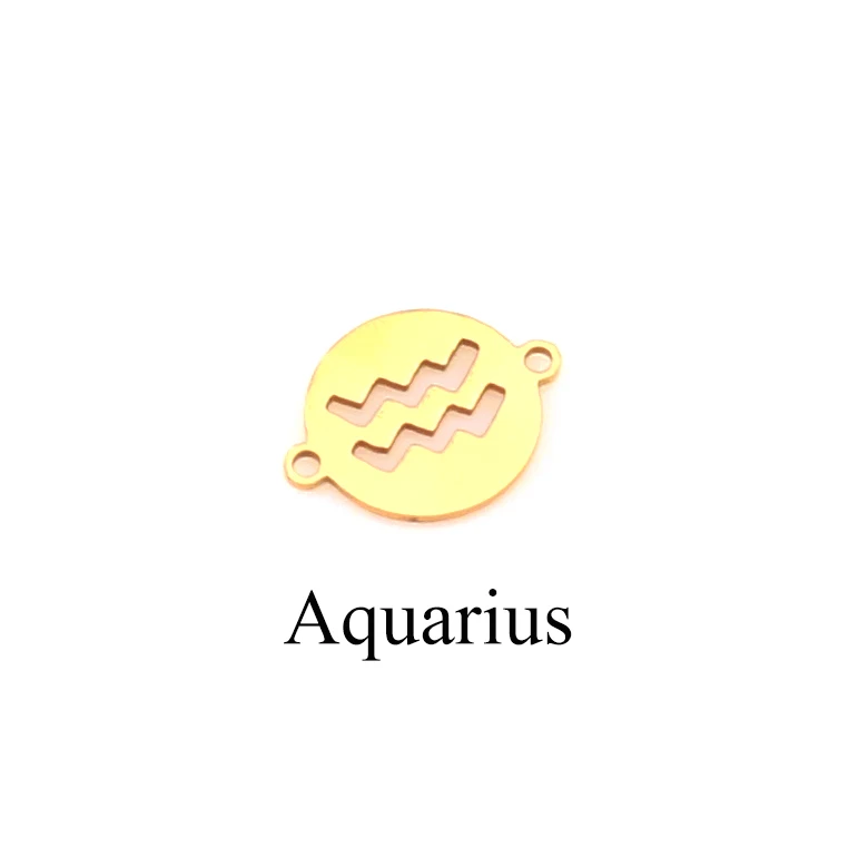 Gold Aquarius 5 шт/лот подвески из нержавеющей стали 12 созвездий DIY звенья для серег браслет ожерелье ювилирные изделия фурнитура изготовление - Окраска металла: Gold Aquarius