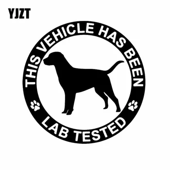 

YJZT 15.5X15.5CM Creative Car Sticker Vinyl Decal This Vehicle Has Been Lab Tested Labrador Retriever Black/Silver C24-1435