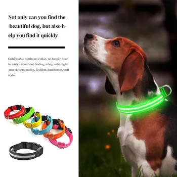 

USB Charging Led Dog Collar Anti-Lost/Avoid Car Accident Collar For Dogs Puppies Dog Collars Leads LED Supplies Pet Products