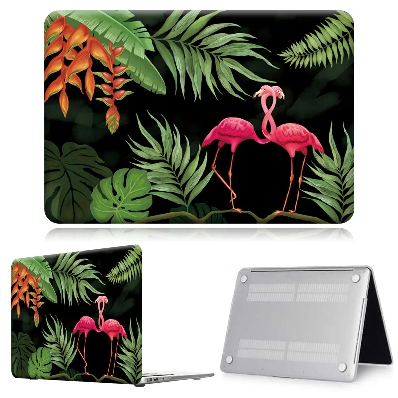 Flamingo021