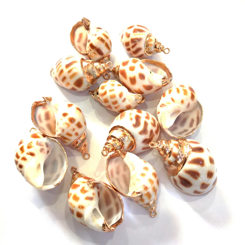 

Natural Shell Conch Pendants Irregular Shape Jewelry for Jewelry Making DIY Necklace Bracelets Accessories 18x30mm 20x40mm