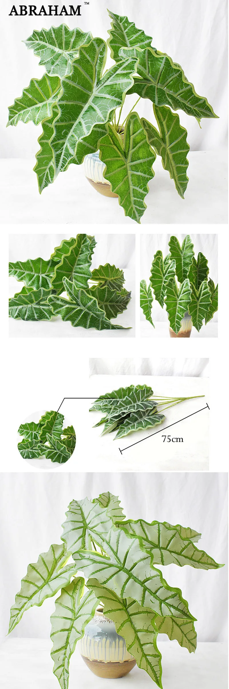 8盾牌