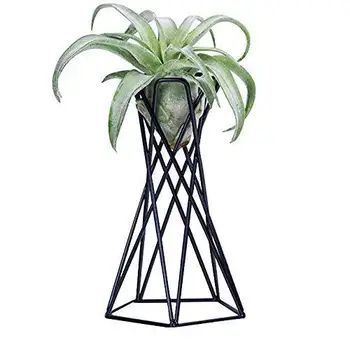 

Flower Racks Rustic Tabletop Mount Hanging Irregular Geometric iron Tillandsia Art Plants Holder Rack Black Containers