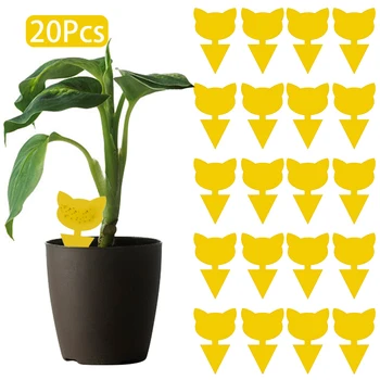 

20pcs/set Orchard Vegetable Fruit Fly Trap Killer Farm Practical Drosophila Catcher Home Indoor Outdoor Insect Pest Control
