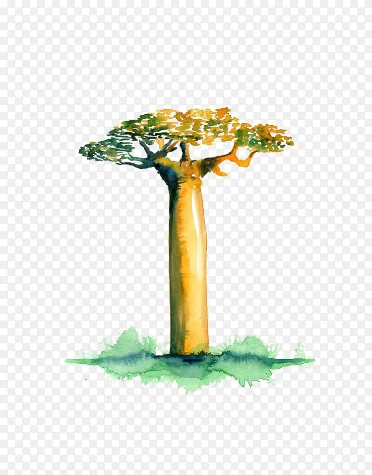长尾猴面包树的大道 水彩树png图片素材免费下载 图片编号 Png素材网