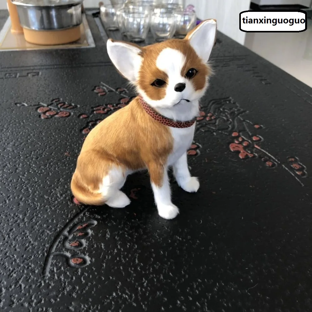 chihuahua juguete