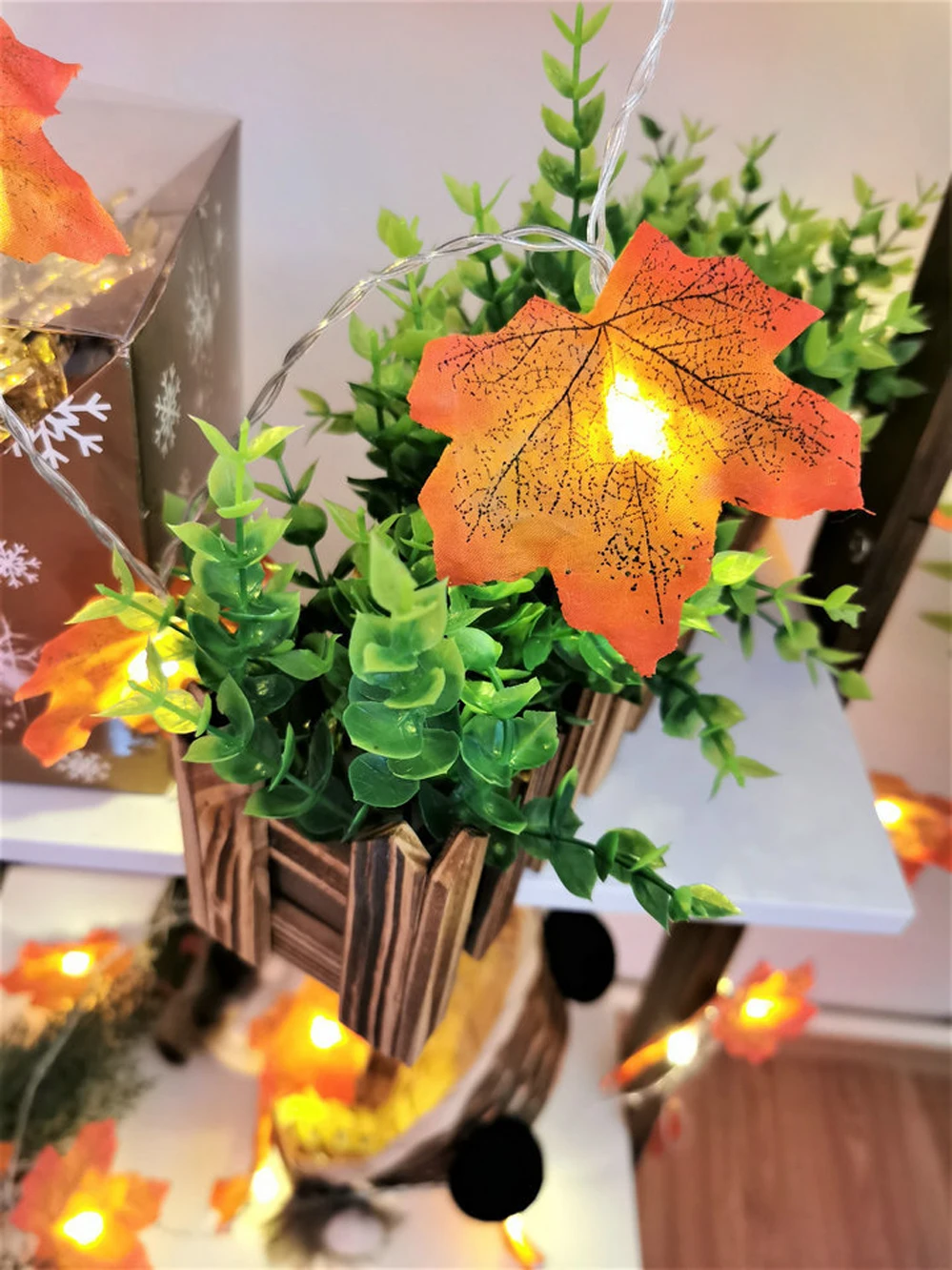 11677445068_1099349780