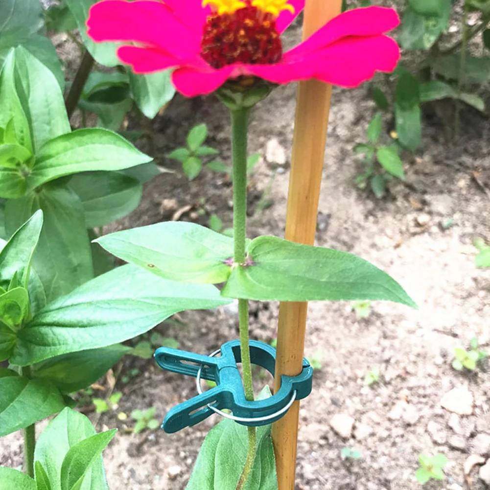 

20pcs Plant Clips Gardening Support Stems Stalks Flower Grow Lever Loop Gripper Tool for Vine Vegetables Tomatoes