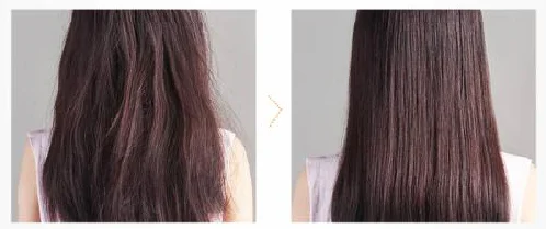 Argan Oil Professional Hair Care Products 500ML Lonstin Shampoo Moroccan Organics For Natural Hair Argan Oil Professional Hair Care Products 500ML Lonstin Shampoo Moroccan Organics For Natural Hair
