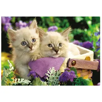 

Lovely cat Paper Puzzle 1000 Pieces,Puzzles for Adults & Kid's Challenge Jigsaw Puzzle Landscape,Educational Landscape Puzzles