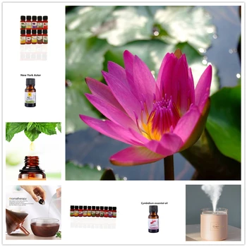 

10ml Crown of Thorns Essential Oils for Aromatherapy Diffusers Essential Oils Air Freshening Body Relieve Stress Oil TSLM1s