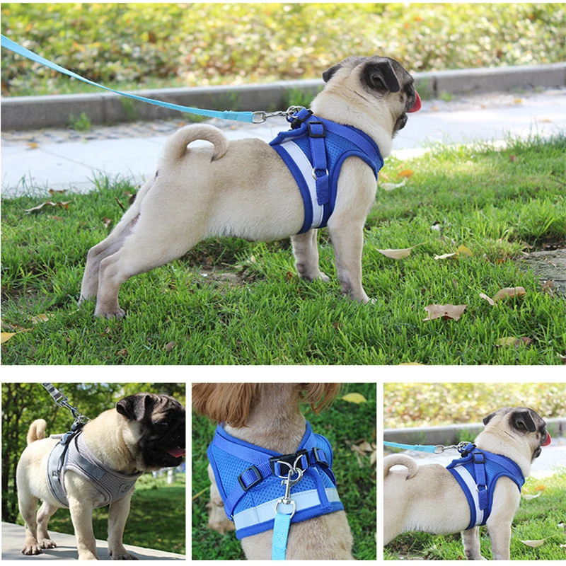 9103759047_609020808