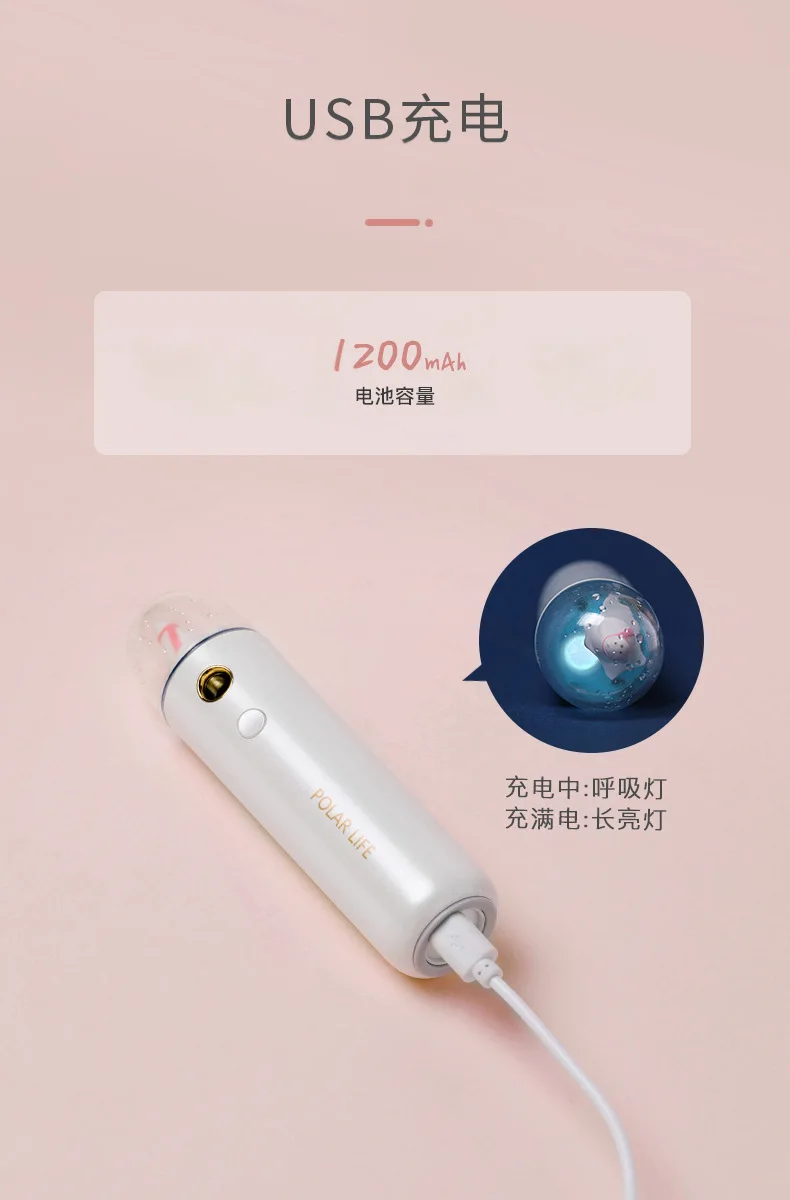 Polar Species Nano Mist Sprayer New Style Portable Hand-Held Humidifier Mini Cute Humidification Spray