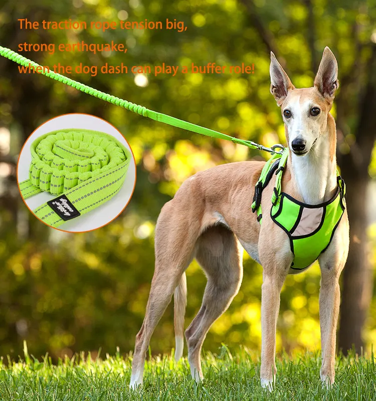 High Quality Pet Dog Leash Nylon Dog Leashes For Small Medium Large Dogs Durable Strong Pet Walking Training Leash 120CM