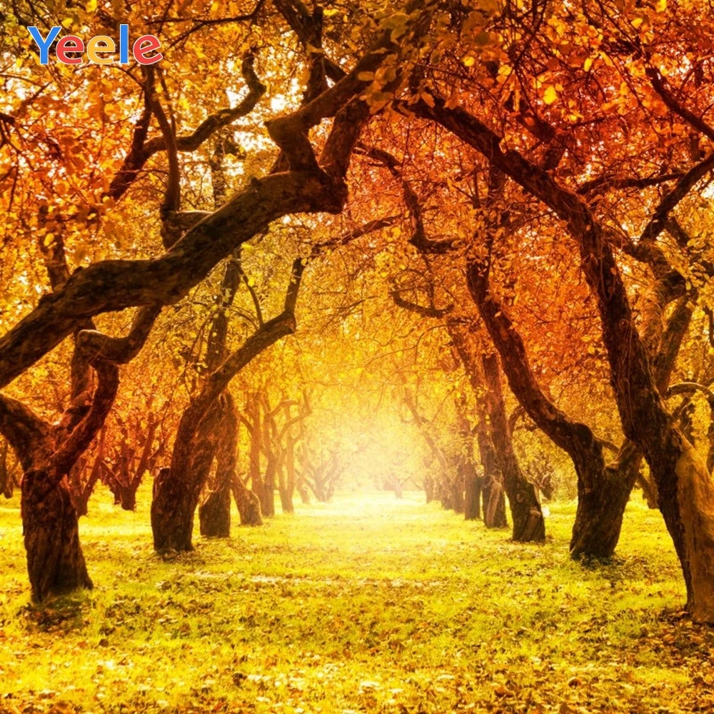 

Yeele Autumn Tree Leaves Natural Scenery Photography Backgrounds Custom Photocall Photographic Backdrop For Photo Studio Props