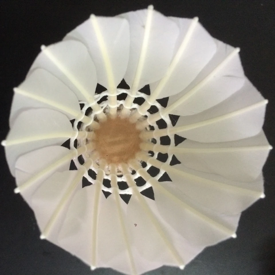 3495758519_1790847558