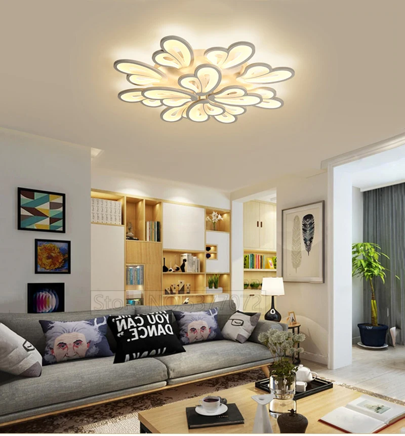 ceiling light for living room (17)