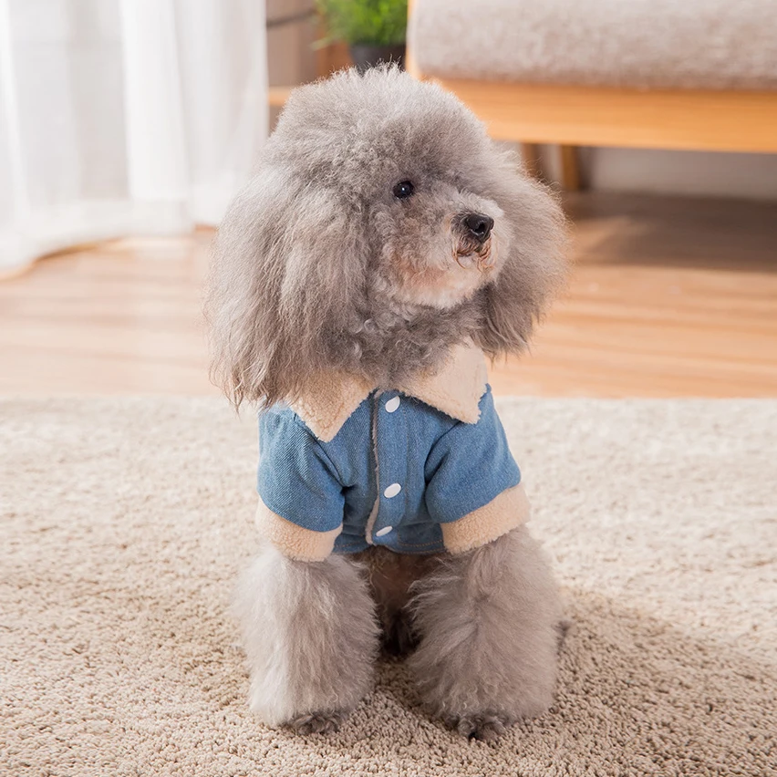 Broken Code Winter Pet Dog Clothes Thick Jacket Coat Cowboy split joint Pet Apparel Chihuahua Teddy Cat Clothing for Small Dogs