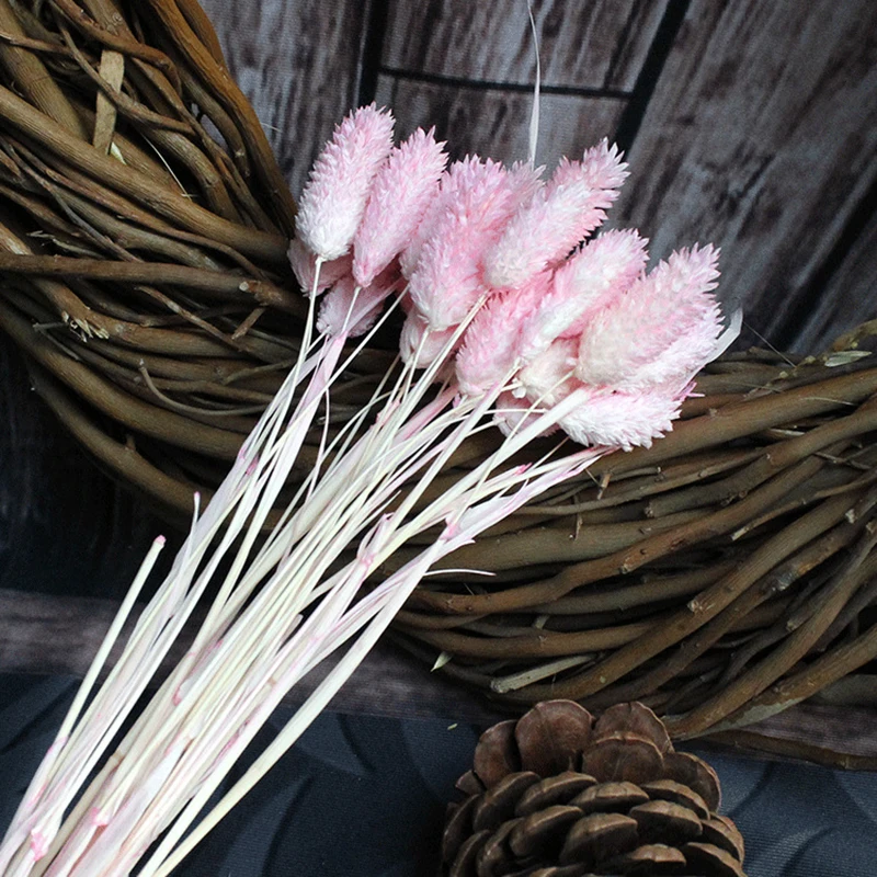 6089699561_1854372444