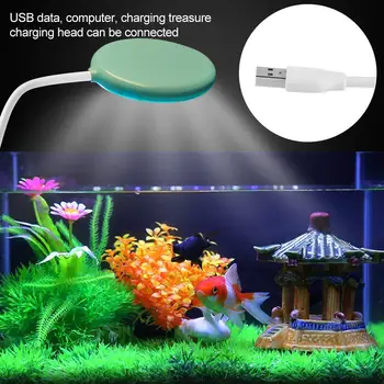 

Water Lamp Fish Tank Lights Plastic Round Night Light Touch Switch Daily Lighting Plant Illumination Aquarium Light Sturdy