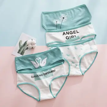 

5pcs of Ladies Underpanties 95% Pure Color Cotton Fabric Panties for Girl Cute Sexy Low Waist Antibacterial Panties Lace Briefs