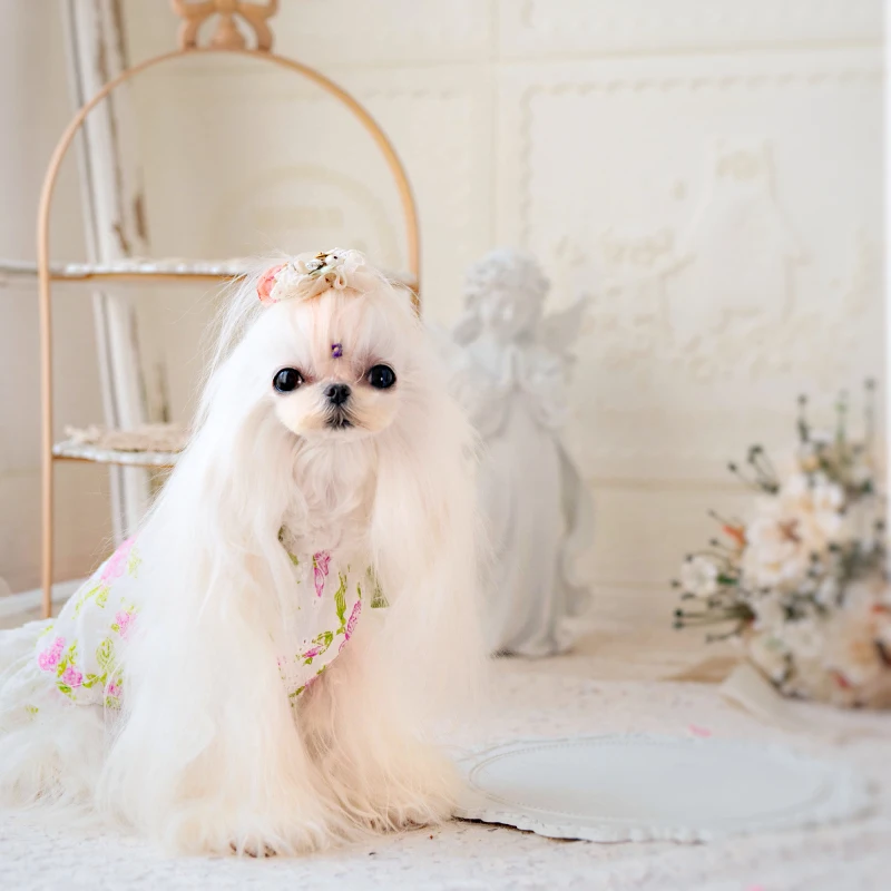 生まれのブランドで 小型犬のドレスxxsxsかわいい花子犬犬チワワヨークシャーポメラニアン犬の服夏の猫ペットスカートドレ